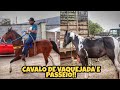 FEIRA DE CAVALO EM CARUARU PE 💲💲 TERÇA FEIRA 28/09