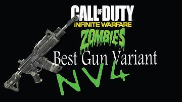 Nv4 / Reckoner Best Gun Variants for Zombies - Call of Duty Infinite Warfare ZISL & RITR