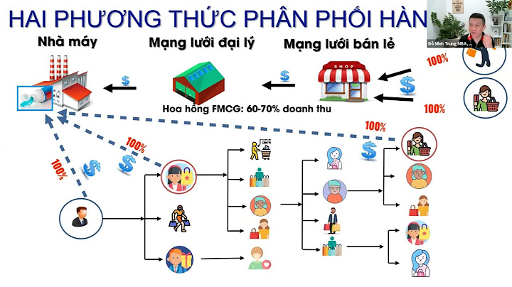 Cấu trúc hệ thống phân phối hàng hóa năm 2024