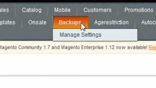 How To Use Magento Database Backup Extension