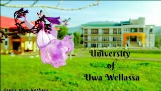 University of Uwa Wellassa | මීදුම් සරසවිය 👨‍🎓🎓🌏