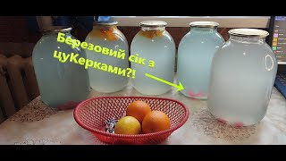 Березовий СІК із Цукерками?! Як це Робимо Ми?!