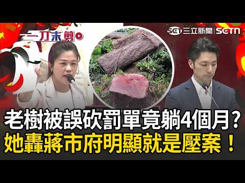一刀未剪｜蔣市府吃案？誤砍東門老樹北市府遭爆「罰單5月寫好竟壓到9月」！洪婉臻轟蔣市府：別再拿廠商當擋箭牌…這明顯就是壓案！｜三立新聞LIVE