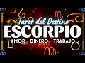 ESCORPIO ♏️ TOMARÁS UNA DECISIÓN EN EL AMOR, SUERTE DE TU PARTE ❗ #escorpio   Tarot del Destino