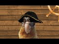 THE PIRATES OF THE PERRYBEAN - a short movie with my parrot
