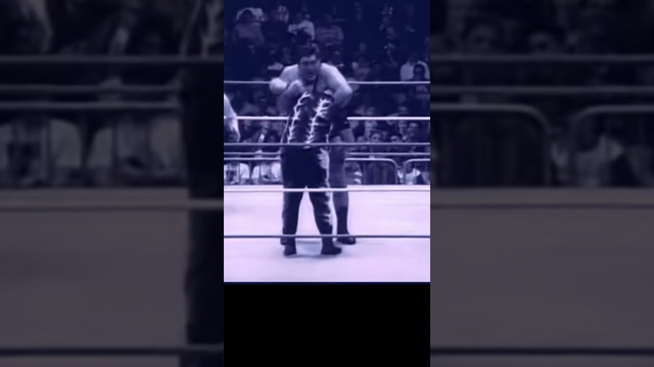 ANDRE THE GIANT - BUTTERFLY SUPLEX 