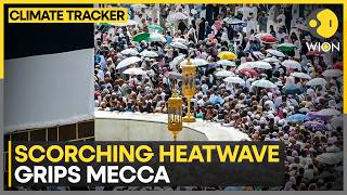 Mecca Heatwave: Devotees Continue Journey Amid Extreme Desert Heat | WION Climate Tracker