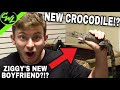 NEW CROCODILE!?!?