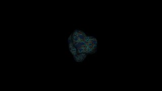Anxiety(computer music & real-time visualization with Max/MSP & TouchDesigner)