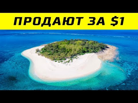 Видео: Можно ли слетать на острова Чатем?