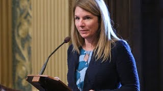 Rep. Donna Lasinski Stands Up for Local Michigan Control