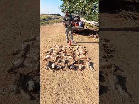 رحلة صيد ممتعة في الرقة