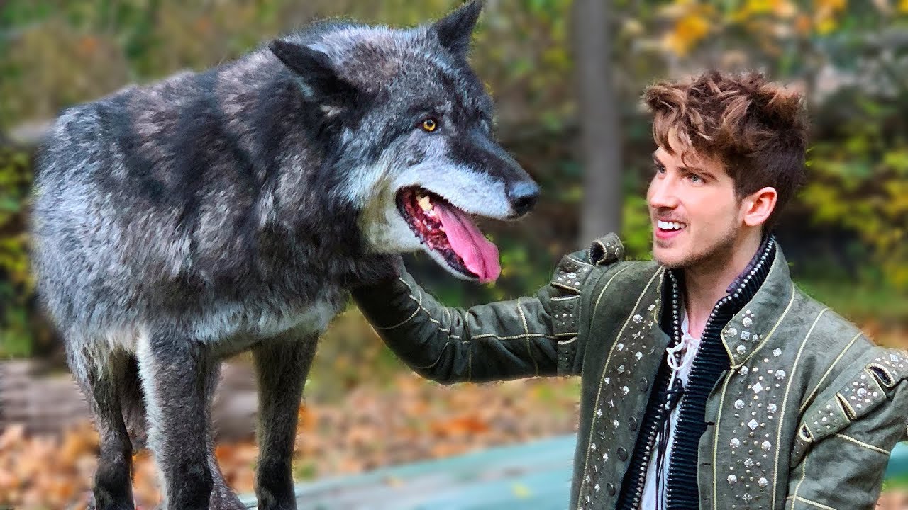 Filming With A Real Wolf! - Behind The Scenes Of Kingdom Music Video