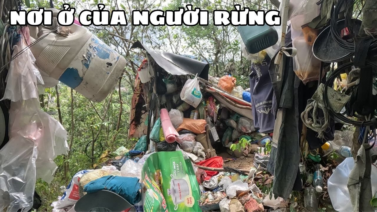 Đi Tìm Ông Chú Sống Như Người Rừng Một Mình Trên Núi Không Ai Dám Tiếp Cận