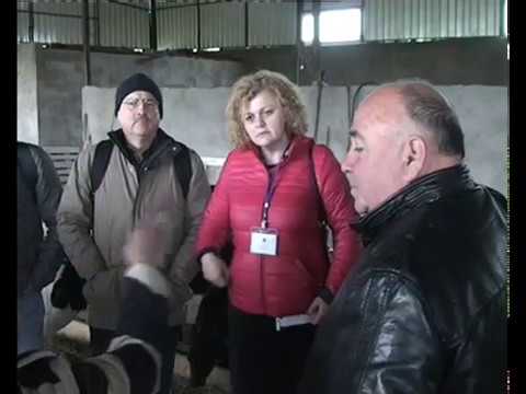 მედიატური ბოლნისში