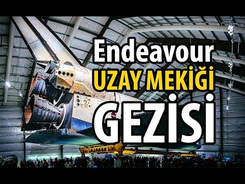 Endeavour Uzay Mekiği ve Kaliforniya Bilim Merkezi'ni Gezdik!