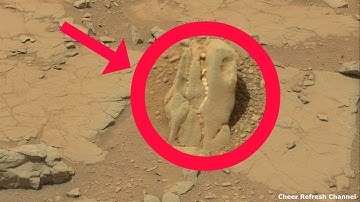 Perseverance rover | Curiosity captured Ancient Fossil on Mars