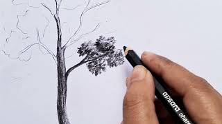 How to draw trees with pencil|| 2types of tree drawing #pencilart