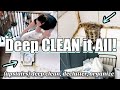 TRANSFORM your space! Whole House Deep Clean {Upstairs} NEBULA Capsule Air Cosmos 4K SE