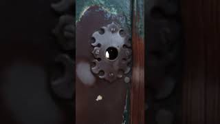 aventine hill keyhole #aventinehill #aventinehillkeyhole