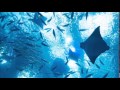 TOKIO メドレー 10曲 (off vocal) 【作業用】