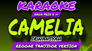 CAMELIA - IRWANSYAH - KARAOKE NADA PRIA E m - REGGAE TANJIDOR VERSION