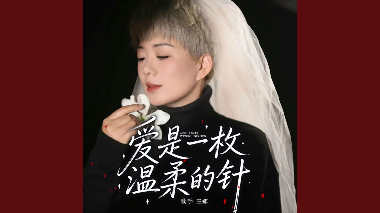 爱是一枚温柔的针（DJ版）