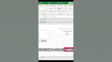 Técnica Efectiva para Diseñar Formatos en Excel #formatosexcel #excel #contabilidad #exceltips