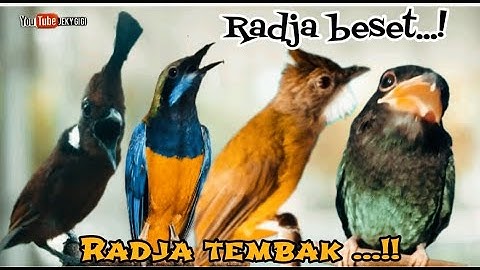 RADJA BESET RADJA TEMBAK || cililin - cungkok - jenggot - Tengkek buto