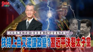 ｢反對打台灣」? 習近平決裂太子黨!鬥完敵人鬥自己 浙江幫遭挫 福建幫獨大 後習時代內鬥恐釀動亂! @democraticTaiwanChannel