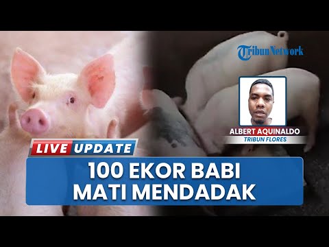 Gozallarning qolda boyalgan porno fotosuratlari