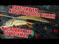 Первый тест Narval Argument 82MMH | Ловля щуки и окуня в ноябре | Ищу хищника на сломе погоды