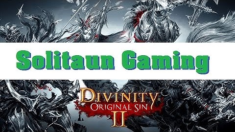 Divinity Original Sin 2  - First Look 1