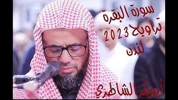 بكاء رهيب للقارئ أبو بكر الشاطري في صلاة التراويح 2023 من لندن
