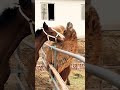 What do you notice here?? #animals