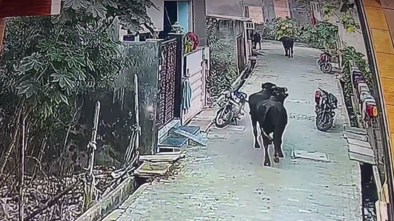 बाइक के मालिक ने बाहर आकर देखा बाइक गायब