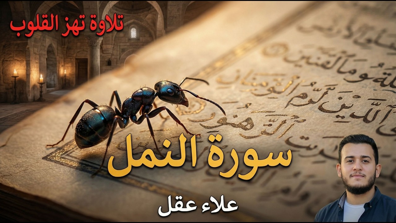 سورة النمل كاملة | تلاوة خاشعة بصوت القارئ علاء عقل | تلاوة تهز القلوب