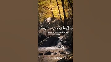 الله الذي جعل لكم الأرض قرارا | القارئ سعد الغامدي