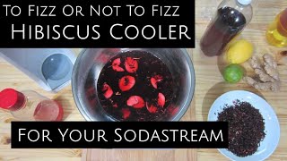 Hibiscus Cooler  Cheap & Delicious, Fizzy or Not!
