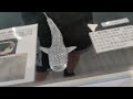 (海洋)史前生物化石:):):)