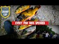 Group caught Illegally spearfishing