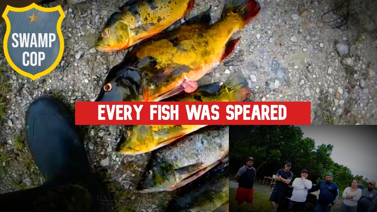 Group spears big bass.