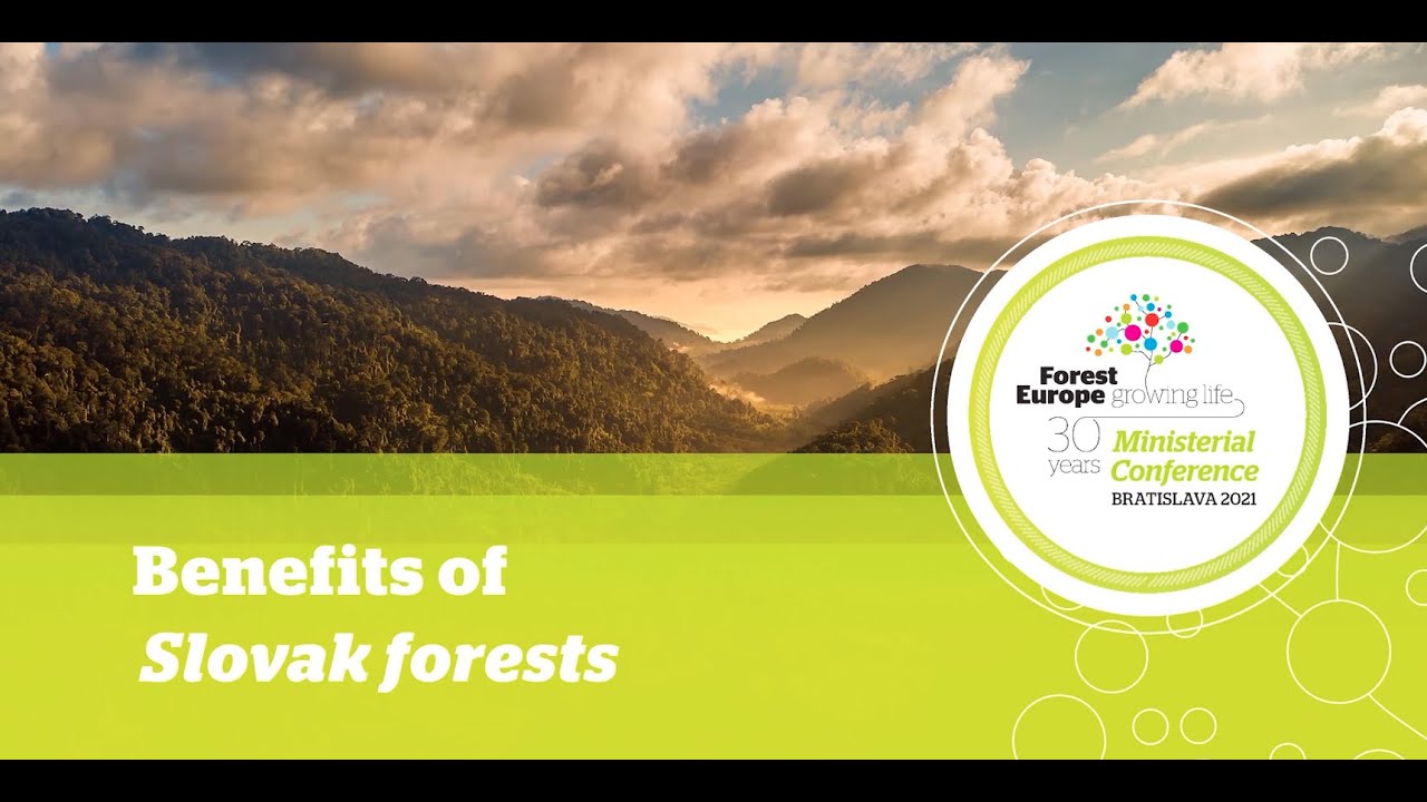 Benefits of Forests