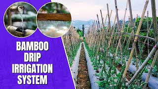 Bamboo Drip Irrigation System - Water Resources | NCERT Class 10 Geography Chapter 3 #geography screenshot 5