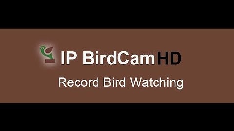 Connect IP bird box camera to Video Recorder