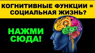 Когнитивные функции и социальная жизнь | Как мозг влияет на общение