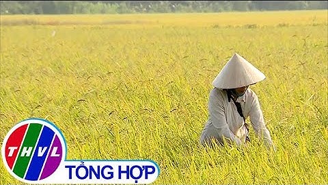 Hiệu quả của việc liên kết sản xuất gắn với tiêu thụ