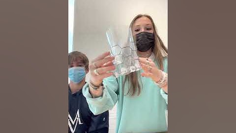 Bri-Bog Polymeric Heart Valve Prototype and Design Explanation