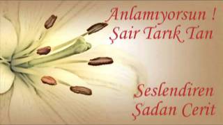 Anlamıyorsun - Şair, Tarık Tan