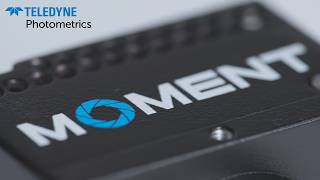 Teledyne Photometrics the Moment Scientific Cameras Now Available from Edmund Optics